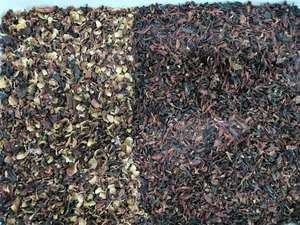 Máquina clasificadora de color de té de 7 conductos, clasificador de color de precio más barato, máquina de selección de color CCD y RGB de alto estándar para la industria - Product Image 4