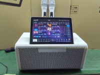 Sistema de Karaoke Profesional Todo en Uno, Sistema de Karaoke Comercial con Micrófono Bluetooth, Reproductor de Karaoke