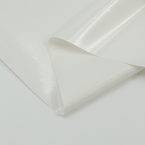 Venta Directa de Fábrica, Película Adhesiva Transparente No Elástica de Polipropileno Termofusible para Prendas de Vestir - Product Image 2