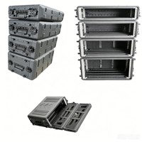 Flight case de transport robuste 260&390 HDPE 19 pouces, léger et antichoc 2U-6U pour amplificateur, haut-parleur et récepteur de micro sans fil