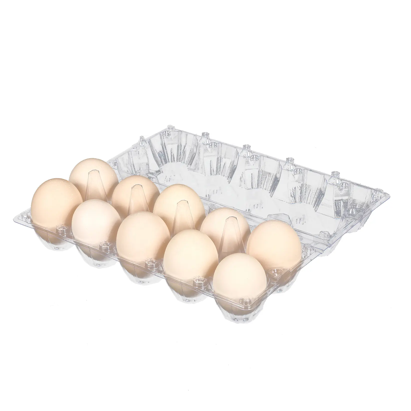 Cajas de plástico transparente para huevos de gallina, bandeja grande de 10 huevos de calidad superior, proceso de burbujas, a la venta