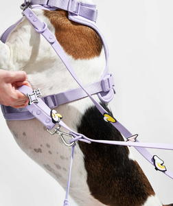 Ensemble de harnais pour chien d'extérieur en PVC souple, laisse réglable et collier avec breloques, équipement pour animaux de compagnie pour la randonnée, le camping, la course et la promenade, fourniture directe usine - Product Image 4