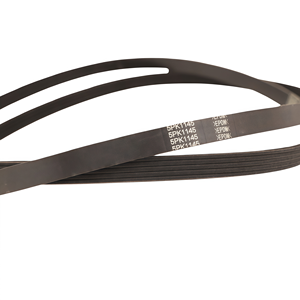 Courroie de transmission en caoutchouc EPDM pur/CR, courroies de distribution, courroie de ventilateur, modèles PK/<span class=keywords><strong>PL</strong></span>/PH/PJ, courroie de ventilateur pour camion Howo 2023, taille 12pk 1189 - Product Image 4