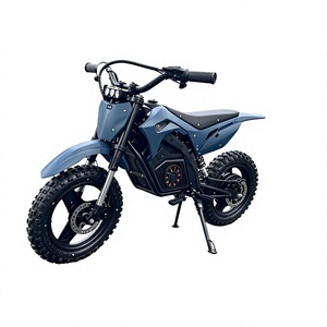 OEM ODM 맞춤형 전기 더트 바이크 80KG 적재 용량 12~15KM 주행거리 자연 냉각 디자인 아웃도어 스포츠용 - Product Image 1