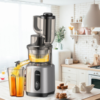 Multifunctionele, makkelijk te reinigen sapcentrifuge met grote opening voor fruit en groenten, commerciële slowjuicer met koude persing