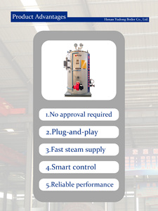 Generador de Vapor Industrial de 300 kg, Vertical, a Gas, Petróleo o Vapor, Baja Presión, 500 kg/h, 0.5 Toneladas, para Uso Industrial - Product Image 6