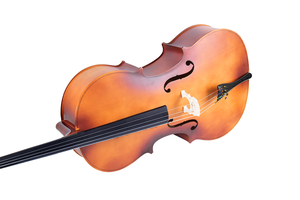 Litthing — <span class=keywords><strong>violoncelle</strong></span> en érable avec nœud, fabrication de la chine, sac en colophane pour étudiants, <span class=keywords><strong>4</strong></span>/<span class=keywords><strong>4</strong></span> - Product Image 4