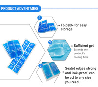 Packs de glace réutilisables en gel PE pour l'expédition – Packs froids compacts pour colis de médicaments, boîtes à lunch, petits glacières, refroidissement alimentaire