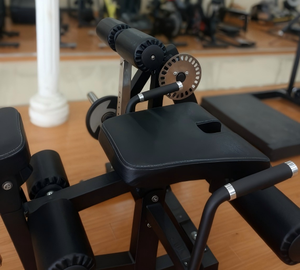 Appareil de musculation professionnel en métal pour extensions des jambes, abdominales, dorsales et pectorales, idéal pour la salle de <span class=keywords><strong>sport</strong></span> et le <span class=keywords><strong>sport</strong></span> commercial. - Product Image 4
