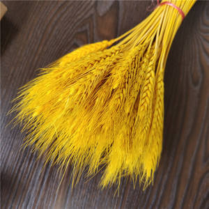 Espigas de Trigo Secas para Decoración, Arreglos Florales de Hierba Natural, Decoración para Hogares, Bodas, Jardines, Planta Decorativa - Product Image 3