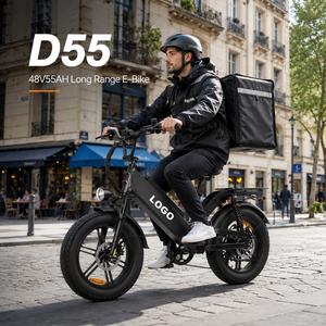 Bicicleta Eléctrica de Reparto, 48V 55Ah, 240km de Autonomía, Motor de 750W, Neumático Grueso de 20 Pulgadas, con Asiento Grande para Reparto de Comida - Product Image 1