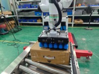 Paletizador Móvil Inteligente de Fácil Programación y Ahorro de Energía, con Caja de Instalación Rápida y Apilable, 1200x1000mm