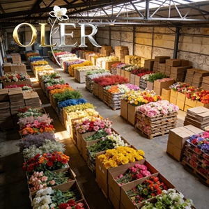 ไฟ LED 3 มิติ รูปหลอดไฟขนาดใหญ่ 2 ฟุต 4 ฟุต 5 ฟุต ข้อความ Will You Marry <span class=keywords><strong>Me</strong></span> ไฟอักษรตกแต่งงานแต่งงาน สำหรับงานวันเกิดและงานแต่งงาน - Product Image 5