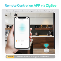 LEELEN smart home cuisine sécurité télécommande sans fil batterie détecteur de fuite d'eau capteur IP66 tuya zigbee smart capteur de fuite d'eau