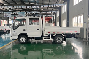 Per Camioncino Diesel 4x2 a Doppia Cabina con Cassone e Sponde per Logistica a Breve Distanza - Product Image 6