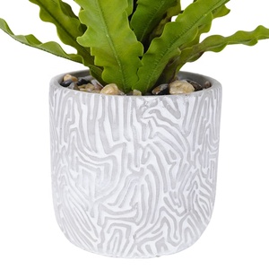 Olla <span class=keywords><strong>de</strong></span> hojas <span class=keywords><strong>de</strong></span> Osaka <span class=keywords><strong>de</strong></span> plástico <span class=keywords><strong>de</strong></span> alta calidad Oh Arts, bonsái <span class=keywords><strong>de</strong></span> Asplenium, mesa <span class=keywords><strong>Buxus</strong></span>, vegetación, Artificial Nido <span class=keywords><strong>de</strong></span> Pájaro <span class=keywords><strong>de</strong></span> seda, Helecho, hogar al aire libre - Product Image 4