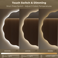 Miroir de salle de bain LED en forme de fleur ondulée festonnée, 3 températures de couleur, gradation progressive, anti-buée, sans cadre, rétroéclairé