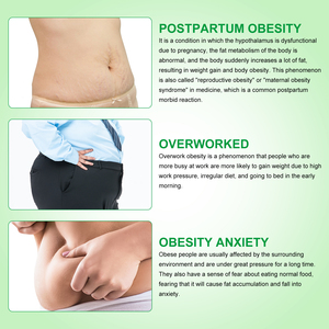 ALIVER Patch penurun berat badan, patch pelangsing lemak alami membantu menurunkan berat badan - Product Image 2