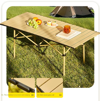 Tables de pique-nique enroulables en plein air portables légères avec sac de transport Table de barbecue pliante Table de camping pour l'aventure en plein air