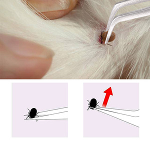 Pinces à tiques en acier inoxydable à double tête pour chats et chiens, pour l'élimination des parasites externes - Product Image 1