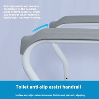 Fourniture en gros transfrontalier Aides aux soins pour personnes âgées respectueuses du vieillissement Équipement de sécurité de salle de bain-Rampes de toilettes Supports d'appoint