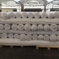 Draps de lit en satin 100% coton blanc de qualité supérieure 180TC 200TC 300TC en rouleau pour draps de lit et linge de lit