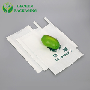 マンゴーカバーバッグフルーツ保護紙袋 - Product Image 4