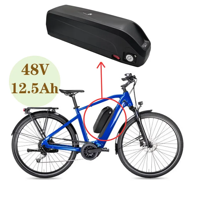 Kundendefinierter hochwertiger Ionen-E-Bike-Batteriepack 48 V 12,5 Ah Hailong Elektrofahrrad-Lithium-Ionen-Batterie für Zuhause