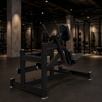 Reyk REYK-B03 Appareil d'extension des hanches à double position en acier, inclinable à 45 degrés, avec pile de poids de 75 kg+, pour musculation des épaules
