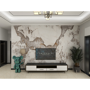 Lastre in Pietra Sinterizzata 1600*3200 mm per Interni o Esterni, Sfondo TV, Piano Tavolo, Top Cucina - Product Image 4