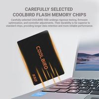 Disque SSD interne de 256 Go, disque dur SATA de 2,5 pouces pour ordinateur portable PC avec garantie de 3 ans