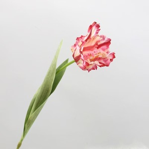 High Quality Artificial Silk Parrot <strong>Tulip</strong> Flowers Spring Colors for Home <strong>Table</strong> Vase Decoration Premium Simulation Flower - Product Image 6