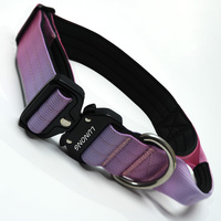 Collier pour chien en nylon rembourré personnalisé avec boucle en métal et anneau en D, design moderne, couleur et logo personnalisables, réglable et durable