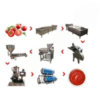Productie van fruitpasta en -puree, 100 kg per uur, kleine tomatenpureemachine, kleine tomatenketchup productielijn