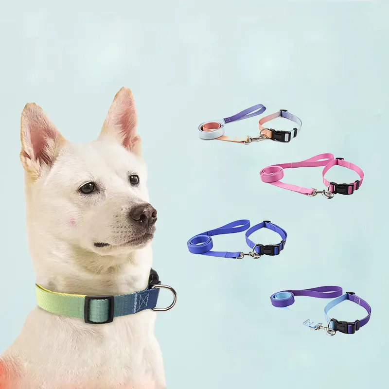 マルチカラー反射犬の首輪ソフトネオプレンパッド入り通気性ナイロンペット首輪小中大型犬用に調整可能