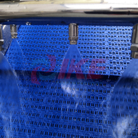 Machine à laver les légumes à bulles d'ozone personnalisée pour les pousses de haricots, les champignons, les légumes-feuilles, système de nettoyage