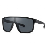 Lunettes de soleil pour activités de plein air, conduite, voyage, décontractées, été, plage, golf, pêche