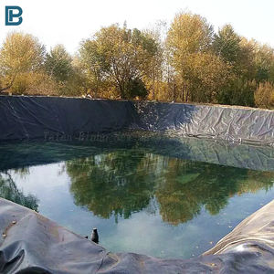 定制1毫米厚高密度聚乙烯土工膜池塘衬板防紫外线现代塑料水箱薄膜养鱼场EVA LLDPE聚丙烯 - Product Image 4