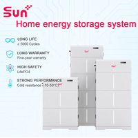 Module de batterie domestique SunPlus LiFePO4 10,2 kWh 15,3 kWh 20,4 kWh avec protection IP65, 5000 cycles, stockage d'énergie solaire, montage au sol/mural