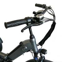 Tricycle électrique cargo pour adultes avec panier de rangement, 750W, trois roues, pliable, batterie au lithium 36V, pneus larges sans balais, pour livraison à domicile