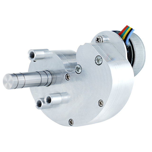 BLDC Low Speed High Torque Durable Metal Motor Driver