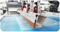 Machine d'impression sérigraphique automatique UV 70 100 pour papier, feuille, film plastique