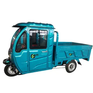 Лидер продаж, китайский сверхмощный сельскохозяйственный автомобиль, трехколесный Электрический грузовой трехколесный скутер eec