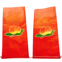 Pp Geweven Milieuvriendelijke Duurzame Tas Voor Rijst Groentefruit Verpakking Aangepaste Maten (5Kg-50Kg) Custom Logo