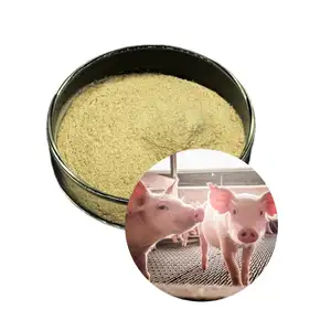 Factory Supply Fermented Yeast Feed Grade Dry Yeast Powder Additives For Livestock Protein Supplement