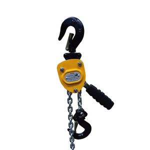 Mini Của Nhãn Hiệu Đòn Bẩy Palăng 250Kg Để 750Kg Công Suất Tay Powered Cẩu Máy Móc Với G80 Thép Ratchet Chuỗi Cho Công Cụ Nâng - Product Image 1