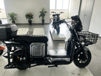 Moto électrique de ville avec moteur à moyeu 60V 1000W, moto de tourisme puissante