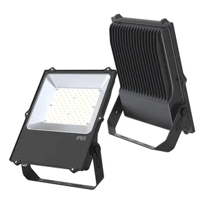 Großhandel Günstiger Preis Outdoor Ip66 LED-Projektor AC 110V 220V Außen Slim Bright 100 Watt Flutlicht 100 W LED-Flutlicht