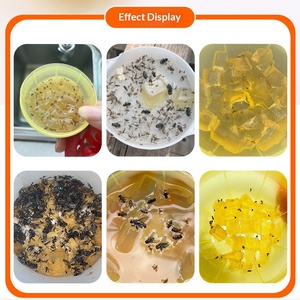 Customizable Fruit <b>Fly</b> <b>Trap</b> with Strong Fluorescent Lure and Bio-Bait for Sustainable Pest Management - Product Image 6