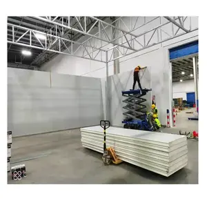 Nhà sản xuất đi bộ trong lạnh cá lưu trữ tủ đông 20 feet và 40 feet container phòng lạnh